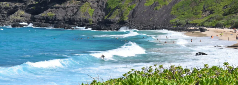 Makapuu from above