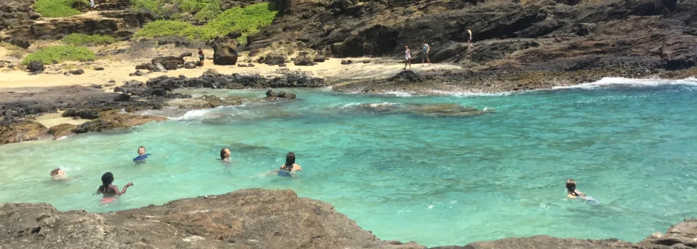 Halona cove swimming