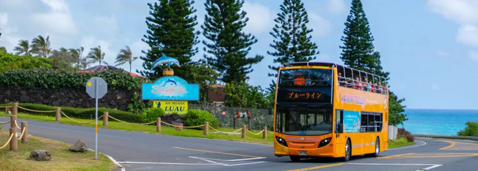 East oahu tour