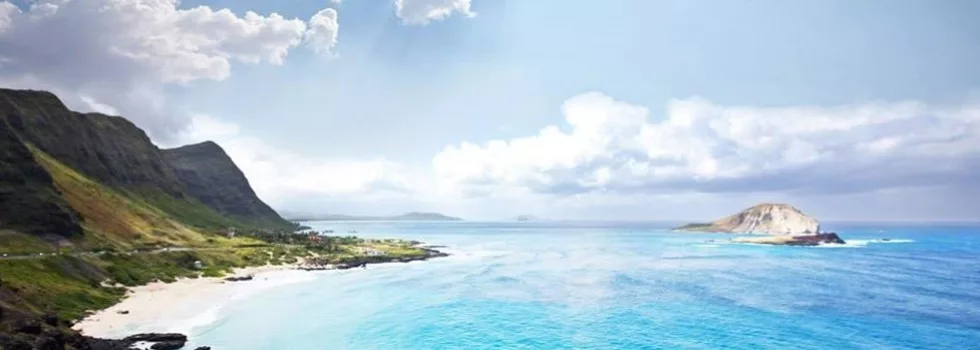 Half day sightseeing oahu tour