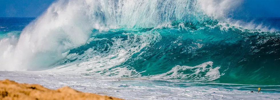 North shore tour from koolina