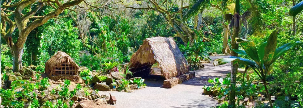 Waimea valley cultural sites