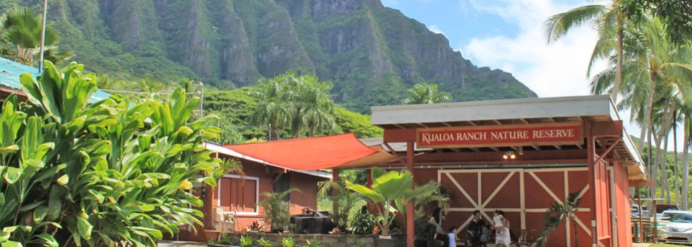 Kualoa ranch tour from disney hawaii