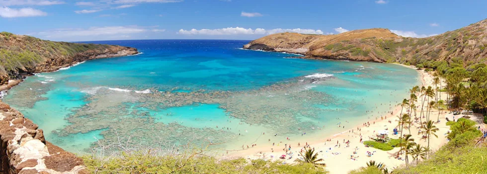 Visit hanauma bay from disney hawaii