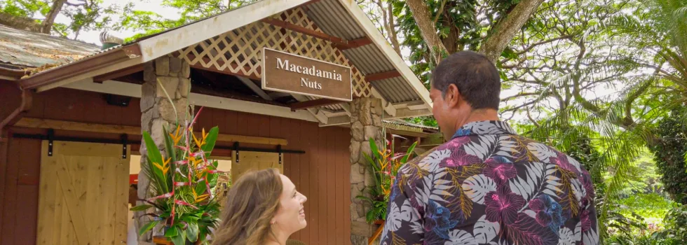 Macadamia nut farm oahu tour guide