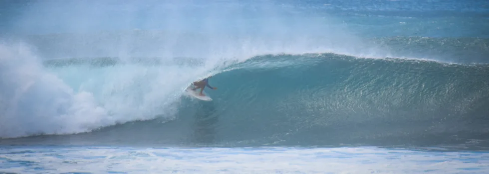 Moana jones surfing north shore
