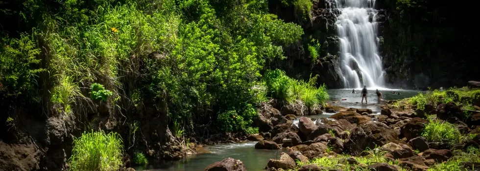 Waimea Falls tour stops circle island