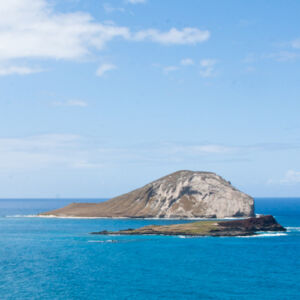 Circle Island Sightseeing Tour