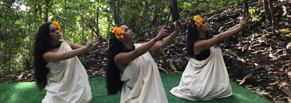 Jungle luau hula dance oahu