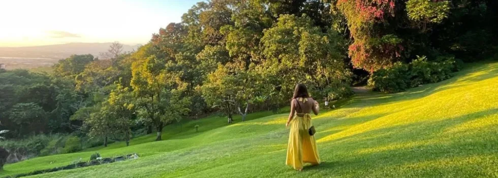 Oahu mountain luau lawn