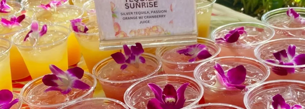 Cocktail options oahu mountain luau