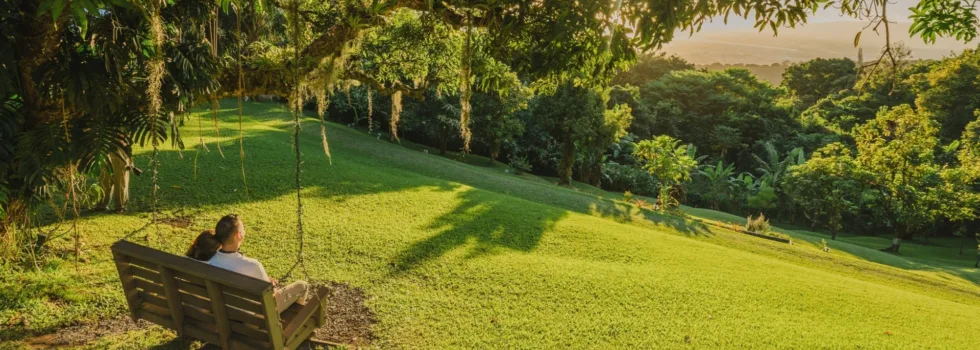 Luau bench swing oahu mountains