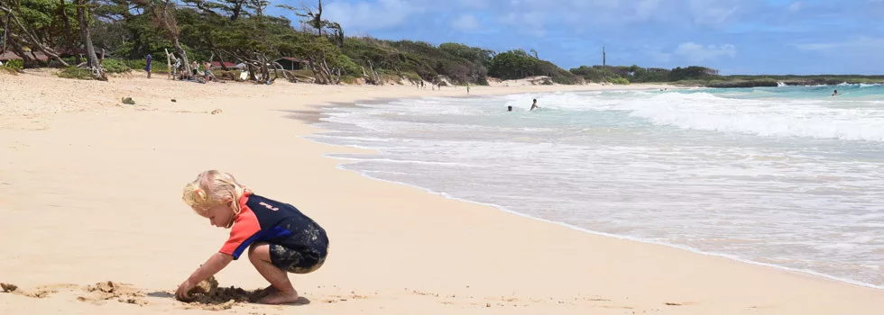 Best tours for babies