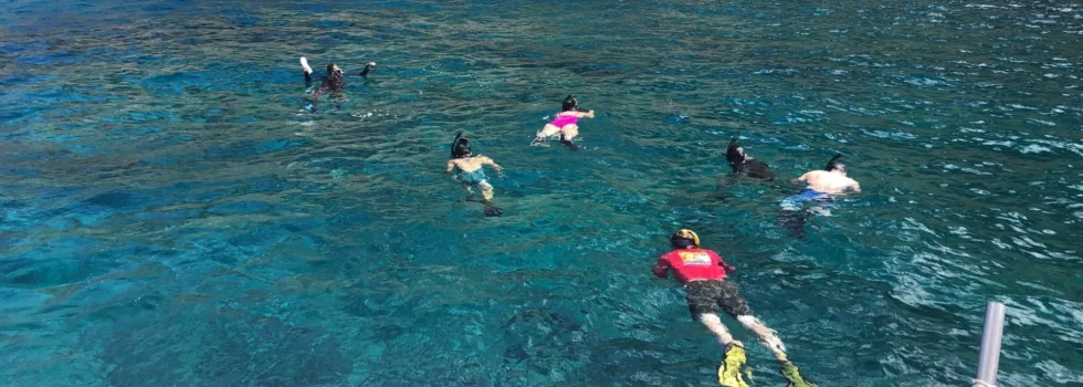 Snorkel boat kaena point