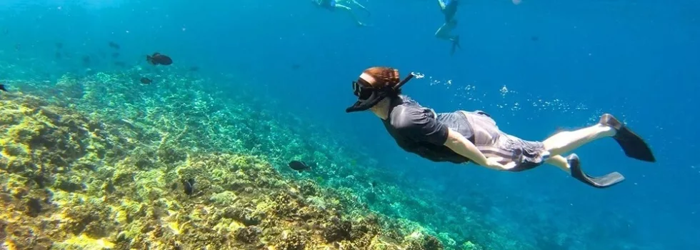 Snorkel with fish oahu