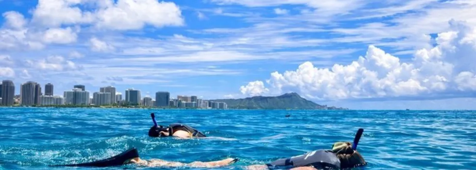 Snorkeling at turtle canyon