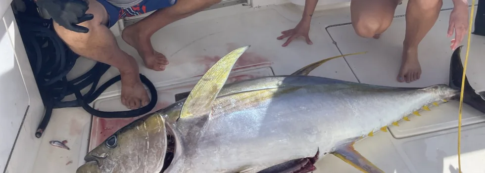 Man and woman catch ahi fishing charter