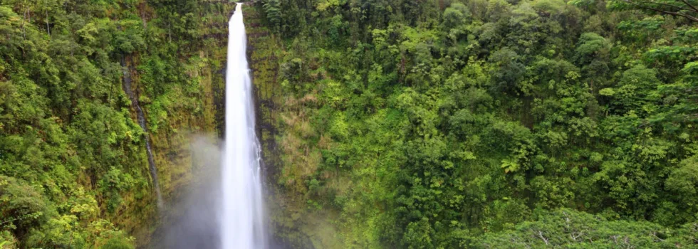 Akaka Falls tour stop