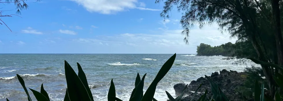Coastline fronting hawaii botanical garden