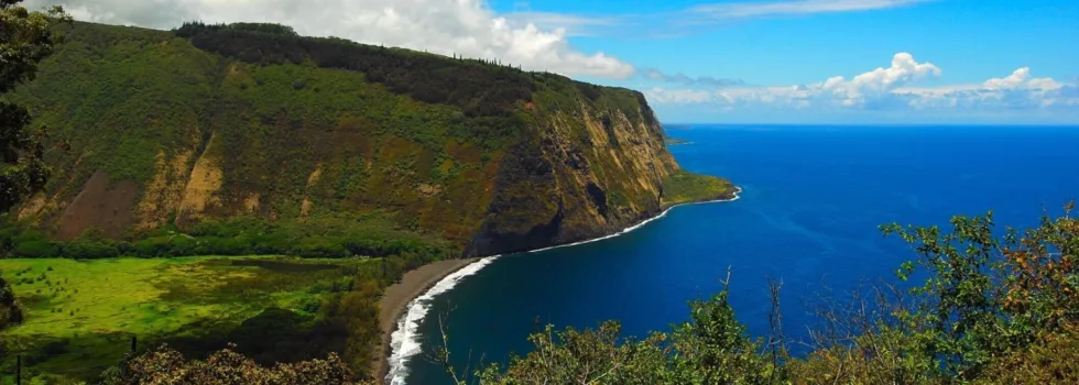 Waipio Overlook tour