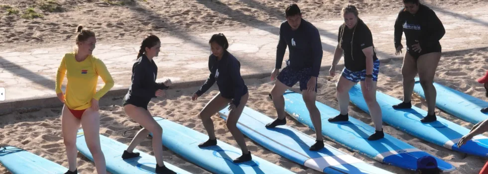 Land demonstration before learning to surf