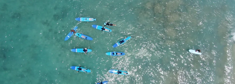 Surf school in waikiki from above