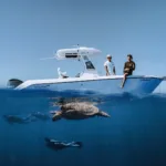 Turtle snorkel boat at anchor thumb