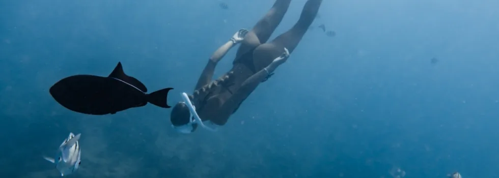 Snorkel in waikiki reef