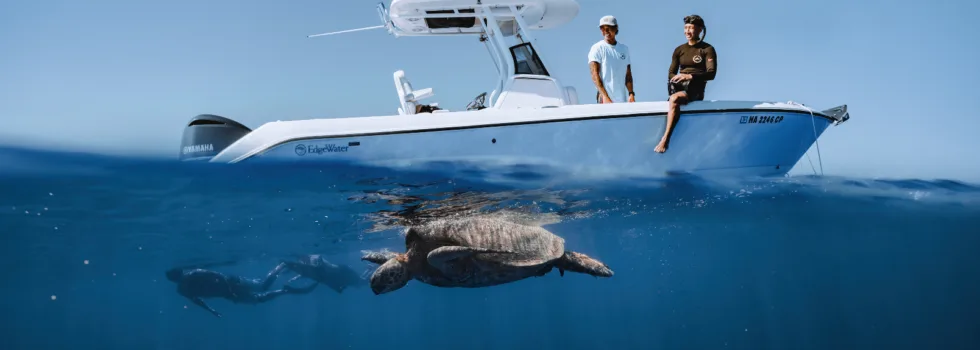 Turtle snorkel boat at anchor