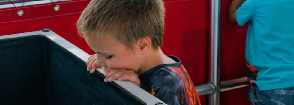 Waikiki glass bottom boat tour viewing port