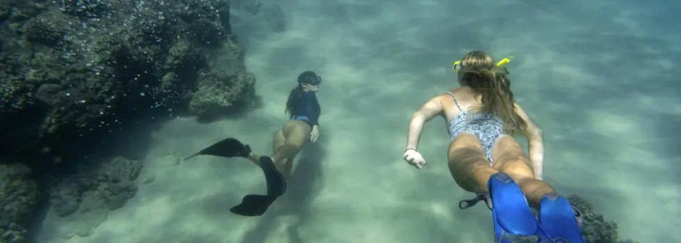 Women snorkeling with flippers underwater scaled