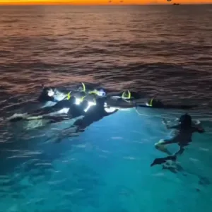 Rigid Inflatable Boat Sunset & Manta Ray Night Snorkel
