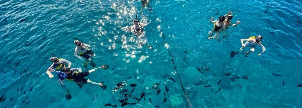 Small group waikiki snorkel boat