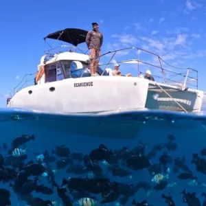 Small Group Catamaran Snorkel in Waikiki