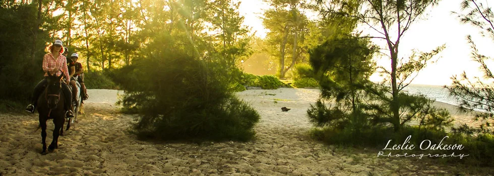 Hawaii horse oahu ride