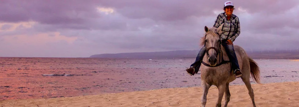 Hawaii horse ride sunset