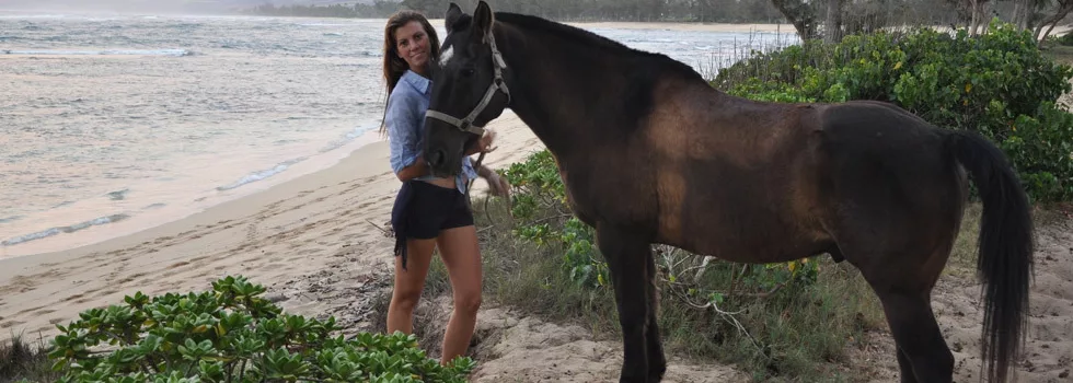 Hawaii horseback ride beach