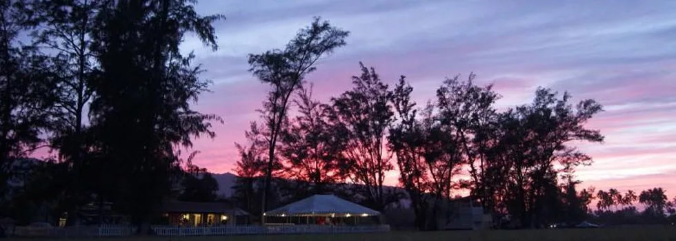 Hawaii polo fields horse back