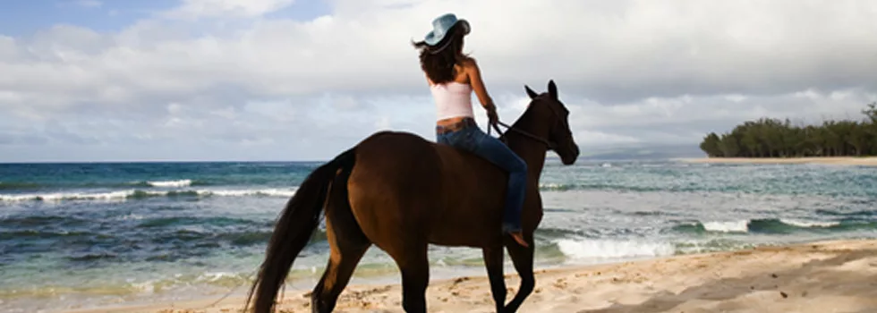 Ride a horse on the beach hawaii