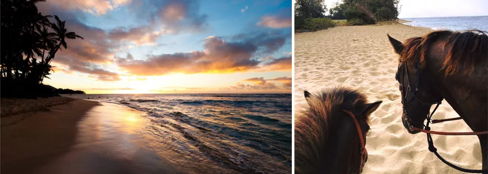 Sunset ride horseback beach