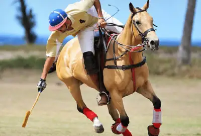 Horse Polo Lessons on the Beach: Horse polo thumb 191123 002326