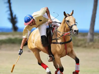 Horse Polo Lessons on the Beach: Horse polo thumb 191123 002326