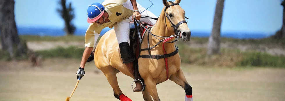 Hawaii polo field horse back ride