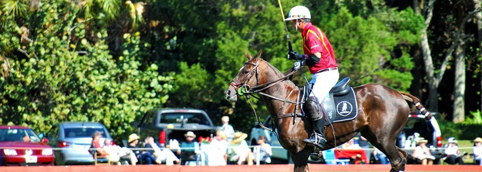 Horse polo lessons hawaii