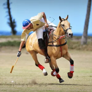 Horse Polo Lessons on the Beach