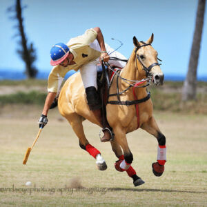 Horse Polo Lessons on the Beach
