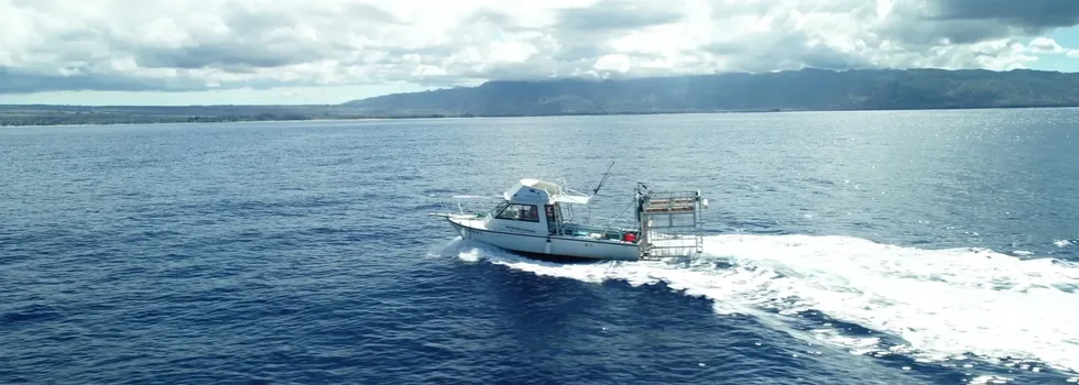 Shark cage boat in haleiwa channel
