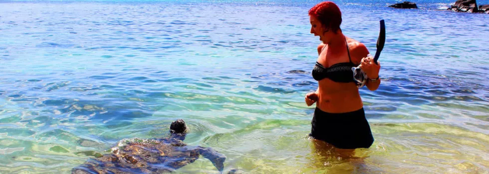 Hawaii Turtle Tour Snorkel