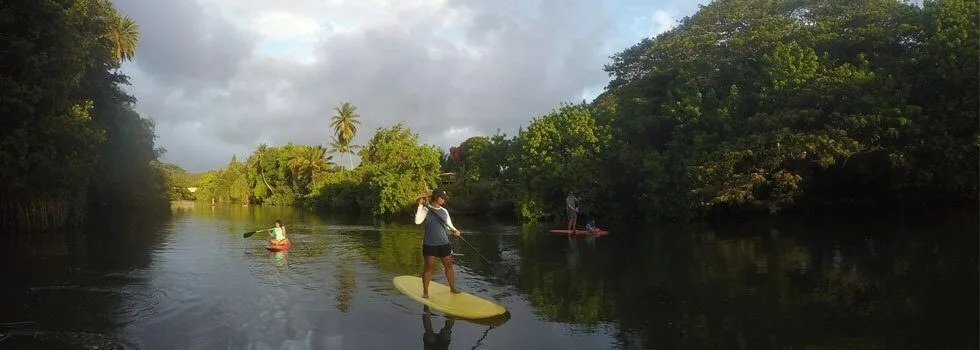 Turtle-tour-hawaii-sup