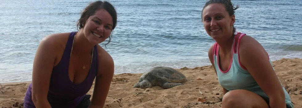 Turtle-beach-hawaii